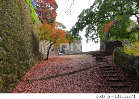 落ち葉が覆う岡城 登城口 大手門前（大分県竹田市） 133518271