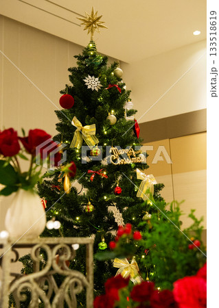 クリスマスツリーのある風景 133518619