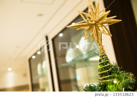 クリスマスツリーのある風景 133518623