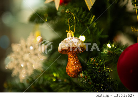 クリスマスツリーのある風景 133518627