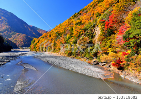 弁天橋／早川より上流方向を望む(山梨県早川町)【2025.11】 133518682