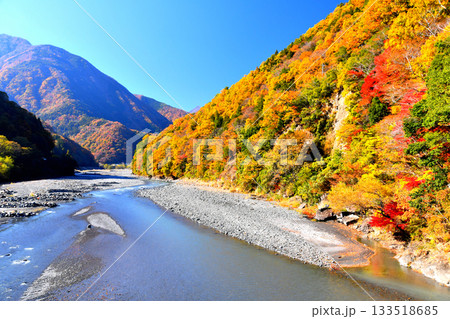 弁天橋／早川より上流方向を望む(山梨県早川町)【2025.11】 133518685