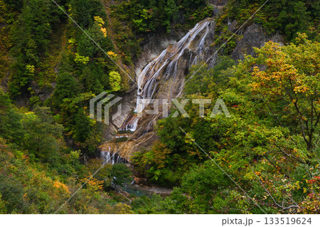 錦秋の白山白川郷ホワイトロード 錦秋の白山白川郷ホワイトロード 133519624