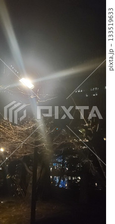 旧道庁庭園の池にて 133519633