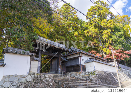 多田神社 東門 紅葉の季節 多田神社 東門 紅葉の季節 133519644