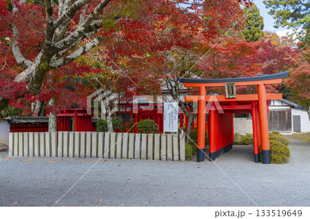多田神社 田尻稲荷神社 紅葉の季節 多田神社 田尻稲荷神社 紅葉の季節 133519649