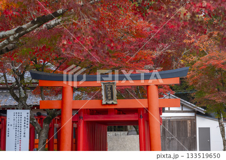 多田神社 田尻稲荷神社 紅葉の季節 多田神社 田尻稲荷神社 紅葉の季節 133519650