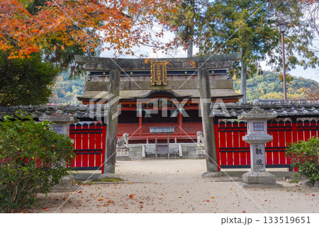 多田神社 六所宮 紅葉の季節 多田神社 六所宮 紅葉の季節 133519651