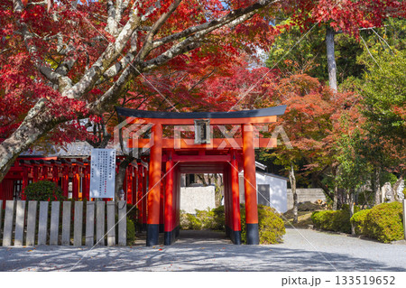 多田神社 田尻稲荷神社 紅葉の季節 多田神社 田尻稲荷神社 紅葉の季節 133519652