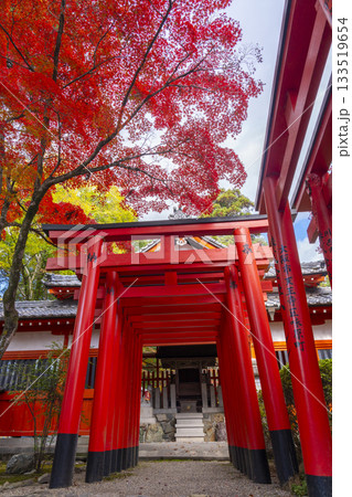 多田神社 田尻稲荷神社 紅葉の季節 多田神社 田尻稲荷神社 紅葉の季節 133519654