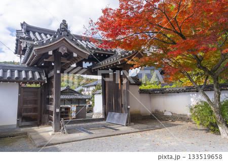 多田神社　西門　紅葉の季節 133519658