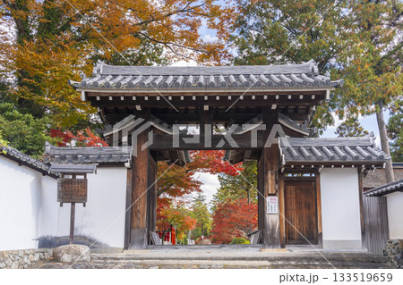 多田神社 西門 紅葉の季節 多田神社 西門 紅葉の季節 133519659
