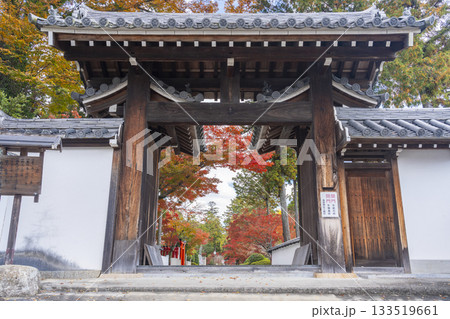 多田神社 西門 紅葉の季節 多田神社 西門 紅葉の季節 133519661