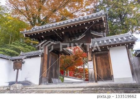 多田神社 西門 紅葉の季節 多田神社 西門 紅葉の季節 133519662