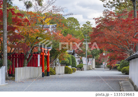 多田神社　田尻稲荷神社　紅葉の季節 133519663
