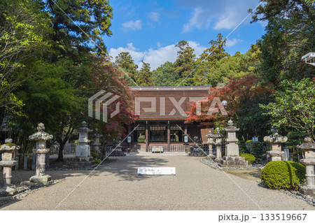 多田神社 拝殿 紅葉の季節 多田神社 拝殿 紅葉の季節 133519667