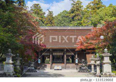 多田神社　拝殿　紅葉の季節 133519668