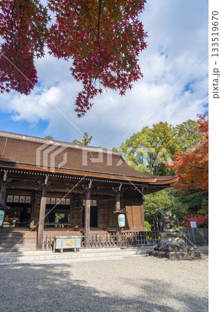 多田神社 拝殿 紅葉の季節 多田神社 拝殿 紅葉の季節 133519670