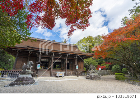 多田神社 拝殿 紅葉の季節 多田神社 拝殿 紅葉の季節 133519671