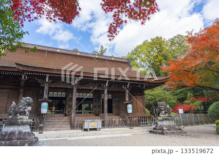 多田神社　拝殿　紅葉の季節 133519672
