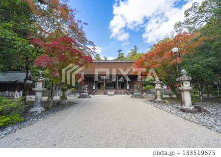 多田神社 拝殿 紅葉の季節 多田神社 拝殿 紅葉の季節 133519675