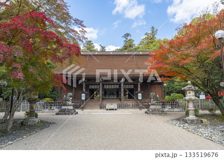 多田神社　拝殿　紅葉の季節 133519676