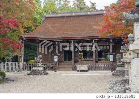 多田神社　拝殿　紅葉の季節 133519683