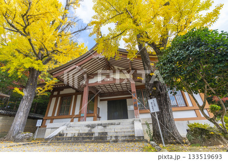 多田神社 宝物殿 紅葉の季節 多田神社 宝物殿 紅葉の季節 133519693