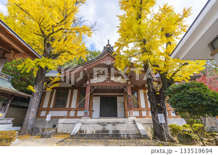 多田神社　宝物殿　紅葉の季節 133519694