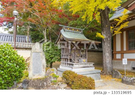 多田神社　多田院天満宮　紅葉の季節 133519695