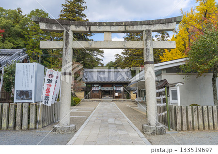多田神社 随神門から見える拝殿 紅葉の季節 多田神社 随神門から見える拝殿 紅葉の季節 133519697
