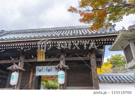 多田神社 南大門 紅葉の季節 多田神社 南大門 紅葉の季節 133519700