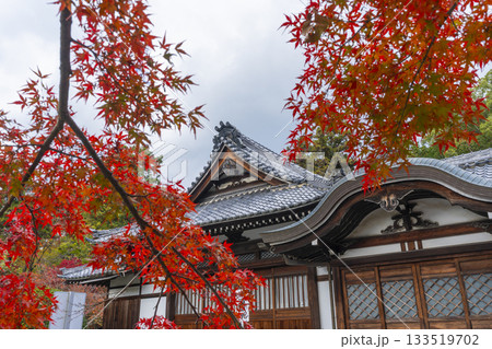 多田神社　車清祓所　紅葉の季節 133519702