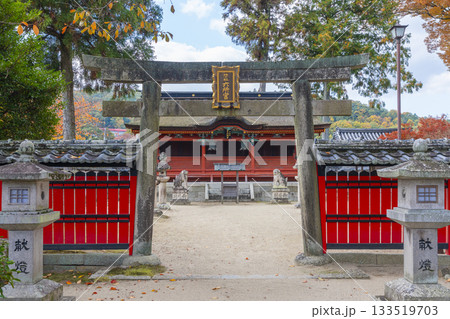 多田神社　六所宮　紅葉の季節 133519703