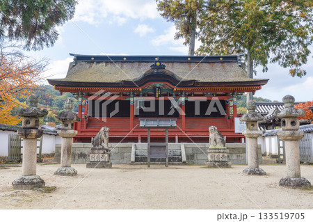多田神社 六所宮 紅葉の季節 多田神社 六所宮 紅葉の季節 133519705