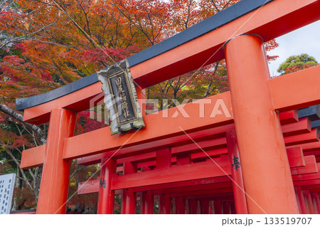 多田神社　田尻稲荷神社　紅葉の季節 133519707