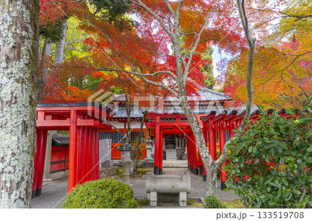 多田神社 田尻稲荷神社 紅葉の季節 多田神社 田尻稲荷神社 紅葉の季節 133519708