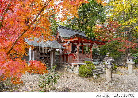 多田神社　厳島神社　紅葉の季節 133519709