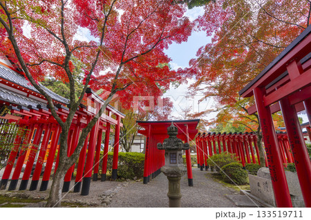 多田神社　田尻稲荷神社　紅葉の季節 133519711