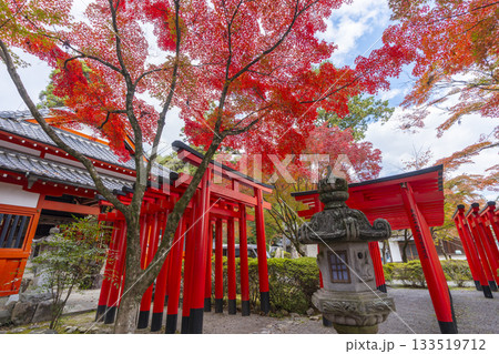 多田神社 田尻稲荷神社 紅葉の季節 多田神社 田尻稲荷神社 紅葉の季節 133519712