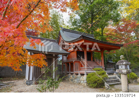 多田神社　厳島神社　紅葉の季節 133519714