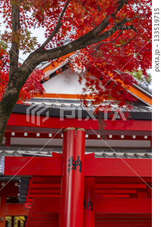 多田神社 田尻稲荷神社 紅葉の季節 多田神社 田尻稲荷神社 紅葉の季節 133519715