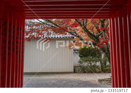 多田神社　田尻稲荷神社　紅葉の季節 133519717