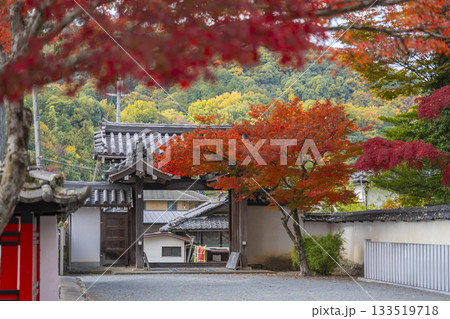 多田神社 西門 紅葉の季節 多田神社 西門 紅葉の季節 133519718