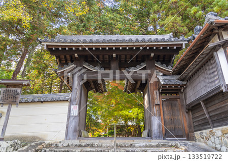 多田神社 東門 紅葉の季節 多田神社 東門 紅葉の季節 133519722