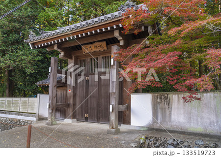 多田神社 政所門 紅葉の季節 多田神社 政所門 紅葉の季節 133519723