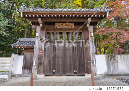 多田神社 政所門 紅葉の季節 多田神社 政所門 紅葉の季節 133519724
