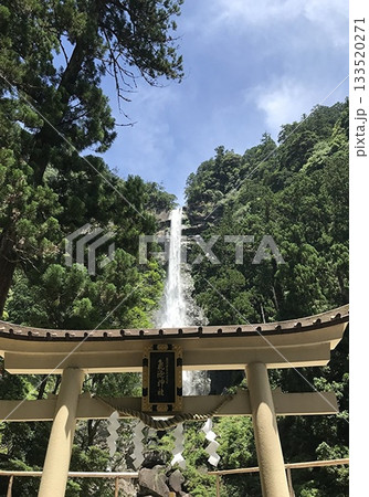 鳥居から見える那智の滝と自然の風景 鳥居から見える那智の滝と自然の風景 133520271