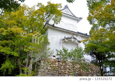 田原城 二の丸櫓 田原城 二の丸櫓 133520272