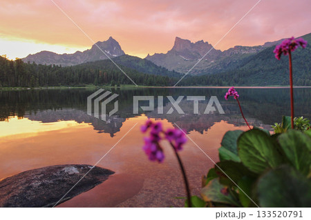 Beautiful landscape with high cliffs and sharp peaks, stones and flowers on a mountain lake Shore, reflection, pink sky and yellow sunlight at sunset. Amazing scenery from mountains. Best of Travel 133520791